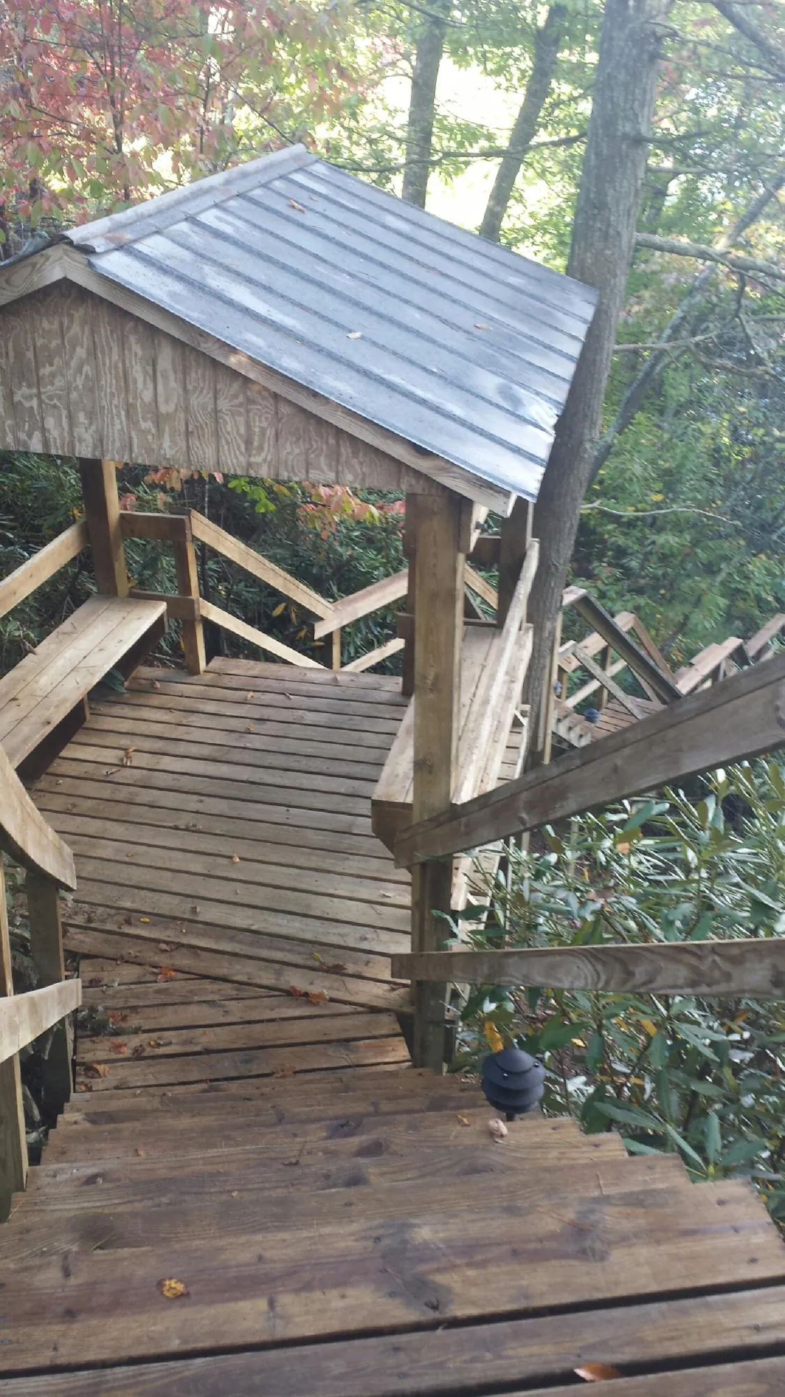 Metal roofed shelter over wooden steps on a wooded walkway — Skylight Repair & Installation work by our crew in Everett